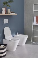 Унитаз Jacob Delafon Rodin+ EDAA102-00 приставной без сиденья — фото 4, Приставные унитазы