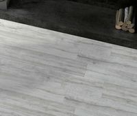 Керамическая плитка Halcon Ceramicas S.A. Wild PRI Blanco напольная 15,3х58,9 — фото 2, Керамическая плитка