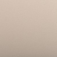 Обои Andrea Rossi Spectrum Pro 54385-4 Винил на флизелине (1,06*10) Бежевый, Однотонные/Рогожка — фото 1, Обои для стен