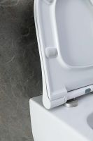 Товар: Унитаз Allen Brau Priority 4.31001.20 подвесной без сиденья - фото 53 Унитаз Allen Brau Priority 4.31001.20 подвесной без сиденья — фото 53, Подвесные унитазы