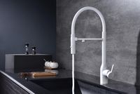 Товар: Смеситель для кухни Paulmark Magneto One Ma213188-WH Белый матовый - фото 3 Смеситель для кухни Paulmark Magneto One Ma213188-WH Белый матовый — фото 3, Смесители для кухни