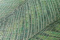 Обои Артекс Murano 10809-05 Винил на флизелине (1,06*10,05) Зеленый, Листья/Абстракция — фото 6, Обои для стен