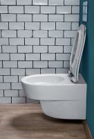 Товар: Комплект унитаза с инсталляцией Jacob Delafon Odeon Rive Gauche E21745RU-00 с сиденьем Микролифт и клавишей смыва Хром - фото 11 Комплект унитаза с инсталляцией Jacob Delafon Odeon Rive Gauche E21745RU-00 с сиденьем Микролифт и клавишей смыва Хром — фото 11, Комплекты унитаз + инсталляция