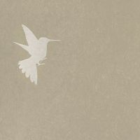 Обои Bernardo Bartalucci Legend 5071-6 Флизелин (1,06*10) Зеленый, Птицы — фото 1, Обои для стен