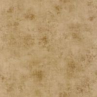 Обои Caselio Telas 2 102063036 Винил на флизелине (0,53*10,05) Коричневый, Штукатурка — фото 1, Обои для стен