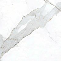 Товар: Керамогранит Primavera Dario Matt NR101 60х60 см - фото 4 Керамогранит Primavera Dario Matt NR101 60х60 см — фото 4, Керамогранит