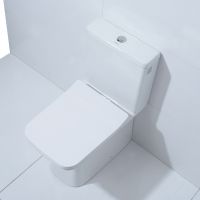 Товар: Унитаз компакт Orans 9904wm с бачком и сиденьем - фото 5 Унитаз компакт Orans 9904wm с бачком и сиденьем — фото 5, Напольные унитазы