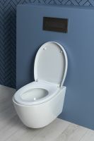 Товар: Унитаз Aquanet ZV-1 303977 подвесной с сиденьем Микролифт - фото 24 Унитаз Aquanet ZV-1 303977 подвесной с сиденьем Микролифт — фото 24, Подвесные унитазы