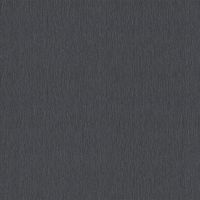 Обои RASCH Sky Lounge 978506 Винил на флизелине (1,06*10) Серый/Черный, Однотонный — фото 1, Обои для стен