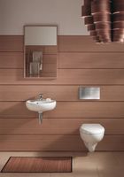 Унитаз Jacob Delafon Brive E4345G-00 подвесной без сиденья — фото 3, Подвесные унитазы