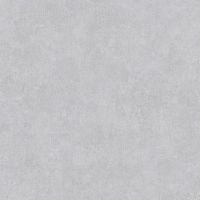 Обои AS Creation History of Art 37656-8 Винил на флизелине (0,53*10,05) Серый, Штукатурка — фото 1, Обои для стен