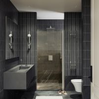 Душевая дверь Maybah Glass MGD-804-5 800x1980 на монопетле Хром матовый стекло бронзовое — фото 2, Душевые двери в нишу