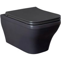 Унитаз Allen Brau Infinity 4.21011.AN подвесной Антрацит без сиденья — фото 1, Подвесные унитазы