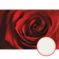 Фреска Ortograf Цветы 3042 Фактура флок FLK Флизелин (4*2,7) Красный, Цветы — фото 1, Фрески