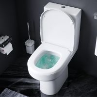 Товар: Унитаз компакт AM.PM Spirit V2.0 FlashClean CK70C1804W с гигиеническим душем и ершиком с бачком и сиденьем Микролифт - фото 17 Унитаз компакт AM.PM Spirit V2.0 FlashClean CK70C1804W с гигиеническим душем и ершиком с бачком и сиденьем Микролифт — фото 17, Напольные унитазы