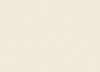 Обои Zambaiti Parati Savana 77526 Винил на флизелине (0,53*10,05) Бежевый, Рогожка — фото 2, Обои для стен