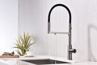 Товар: Смеситель для кухни Paulmark Tornado To213402-B Беретта - фото 14 Смеситель для кухни Paulmark Tornado To213402-B Беретта — фото 14, Смесители для кухни