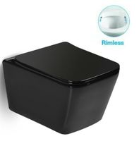 Унитаз SantiLine SL-5004MB подвесной с сиденьем Микролифт — фото 1, Подвесные унитазы