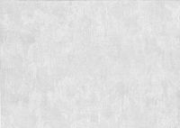 Обои Prima Italiana Medici 80018 Винил на флизелине (1,06*10) Белый/Серый/Серебряный, Штукатурка — фото 2, Обои для стен