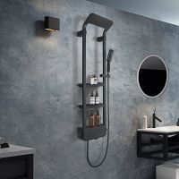 Душевая панель Black&White Seasons W1220 1220w0 Графитовый черный — фото 6, Душевое оборудование. Душевая программа