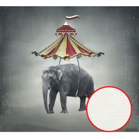 Фреска Ortograf Животные 10874 Фактура флок FLK Флизелин (3*2,7) Серый, Животные/Абстракция арт-10874 (флок FLK) — фото 1, Фрески