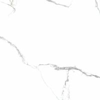 Керамогранит Primavera Acothly Polished PR150 60х60 см — фото 3, Керамогранит