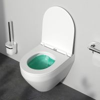 Комплект унитаза с инсталляцией AM.PM Spirit V2.0 FlashClean IS100101.701700 с сиденьем Микролифт и Белой глянцевой клавишей смыва — фото 14, Комплекты унитаз + инсталляция