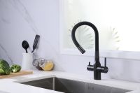 Смеситель для кухни Paulmark Salix Sa213419-418 Черный металлик — фото 5, Смесители