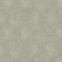 Обои RASCH Raymond 957365 Винил на флизелине (1,06*10,05) Серый/Зеленый, Штукатурка — фото 1, Обои для стен