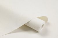 Обои Артекс New Look 6 10982-01 Винил на флизелине (1,06*10,05) Белый, Штукатурка/Однотонный — фото 2, Обои для стен