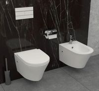 Унитаз Jacob Delafon Rodin+ EDY102-00 подвесной без сиденья — фото 7, Подвесные унитазы