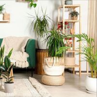 Товар: Виниловый ламинат Tarkett Groove 277031002 Marvin 914,4х152,4х1,85 мм - фото 2 Виниловый ламинат Tarkett Groove 277031002 Marvin 914,4х152,4х1,85 мм — фото 2, Виниловый ламинат