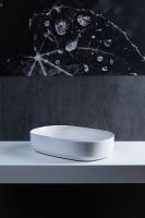 Товар: Раковина-чаша Allen Brau Fantasy 55 4.11022.21 Белая матовая - фото 5 Раковина-чаша Allen Brau Fantasy 55 4.11022.21 Белая матовая — фото 5, Раковины