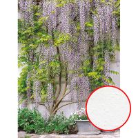 Товар: Фреска Ortograf Городской пейзаж 4075 Фактура бархат FX Флизелин (2*2,7) Зеленый/Серый/Розовый, Деревья/Цветы - фото 1 Фреска Ortograf Городской пейзаж 4075 Фактура бархат FX Флизелин (2*2,7) Зеленый/Серый/Розовый, Деревья/Цветы — фото 1, Фрески