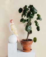 Обои Solo Bohemia E102602 Винил на флизелине (1,06*10) Бежевый, Штукатурка — фото 3, Обои для стен