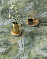 Керамогранит Etili Seramik Paradise Rain Forest Green Polished Rec. ETI80547 60х120 см — фото 2, Керамогранит