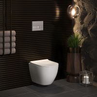 Комплект унитаза с инсталляцией Berges Okus 043282 с сиденьем Микролифт и Белой клавишей смыва — фото 17, Унитазы