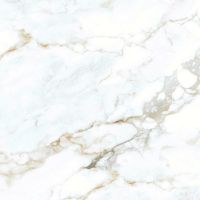 Керамогранит Laparet Statuario Martin полированный 60х60 см — фото 1, Керамогранит