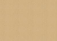 Обои Zambaiti Parati Vision 76002 Винил на флизелине (0,70*10,05) Золото/Бежевый, Штукатурка — фото 2, Обои для стен