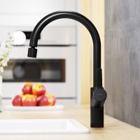 Смеситель для кухни Damixa Eclipse 310722300 Черный матовый — фото 3, Смесители