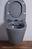 Товар: Унитаз Esbano Clavel ESUPCLAVGM подвесной Серый матовый с сиденьем Микролифт - фото 8 Унитаз Esbano Clavel ESUPCLAVGM подвесной Серый матовый с сиденьем Микролифт — фото 8, Подвесные унитазы