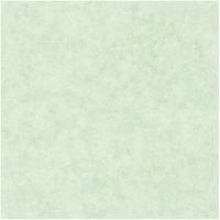 Товар: Обои Caselio Beton 101487400 Винил на флизелине (0,53*10,05) Зеленый, Штукатурка - фото 1 Обои Caselio Beton 101487400 Винил на флизелине (0,53*10,05) Зеленый, Штукатурка — фото 1, Обои для стен