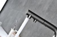 Товар: Смеситель для кухни Paulmark Serpentine Se213222-GM Вороненая сталь - фото 14 Смеситель для кухни Paulmark Serpentine Se213222-GM Вороненая сталь — фото 14, Смесители