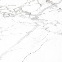 Керамогранит Absolut Gres Staturio Classic AB 1003G 60x60 см — фото 1, Керамогранит