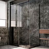 Душевая стенка Veconi Premium Trento PTD-40GR 100 SP40-GR-100-01-C4 профиль Брашированный графит стекло прозрачное — фото 2, Боковые стенки