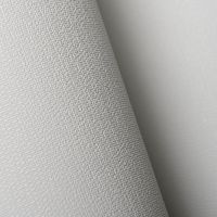 Обои Andrea Rossi Spectrum Pro 54381-6 Винил на флизелине (1,06*10) Белый, Однотонные/Рогожка — фото 2, Обои для стен