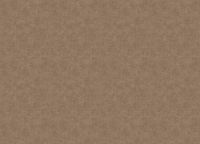 Обои Grandeco Ciara A 53705 Винил на флизелине (0,53*10,05) Бронзовый/Коричневый, Штукатурка — фото 2, Обои для стен