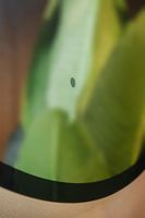 Зеркало Silver Mirrors Монако Black 100 LED-00002769 с подсветкой с бесконтактным выключателем — фото 7, Зеркала в ванную комнату