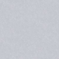 Обои AS Creation Accent 38501-3 Винил на флизелине (1,06*10,05) Серый, Штукатурка — фото 1, Обои для стен