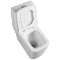 Унитаз моноблок Royce Bronx RCT-152002WH с сиденьем Микролифт — фото 6, Унитазы